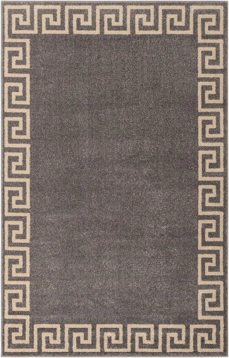 Evelynn Elegantly Simple Area Rug